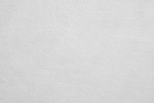 Best Mold Odor Removal Services  in USA